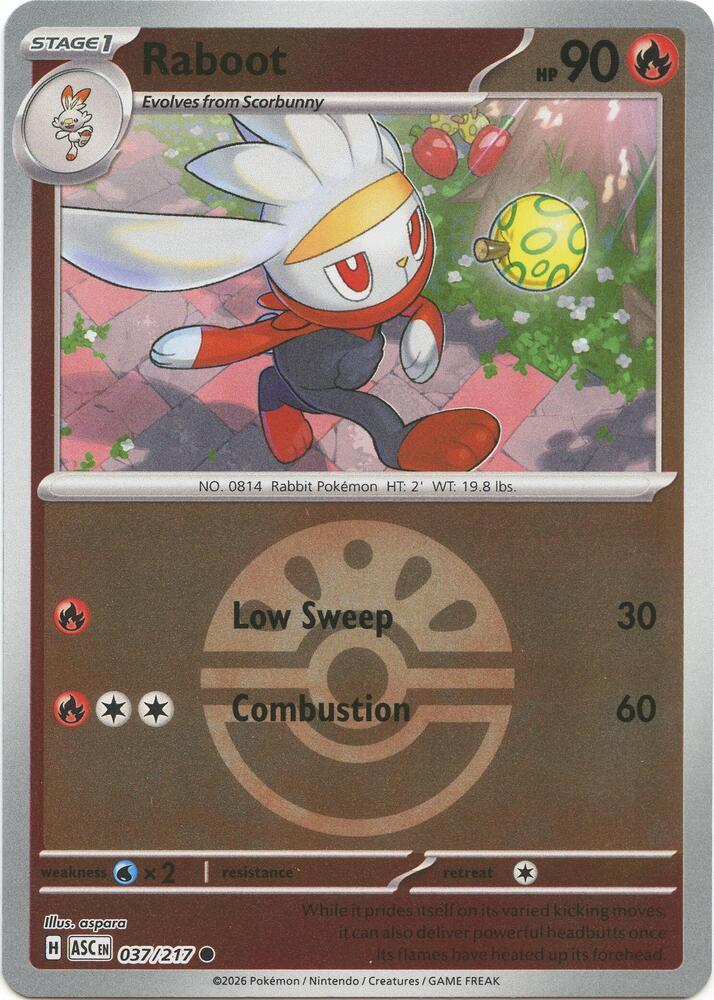 Ascended Heroes Raboot [Ball] Pokémon card